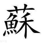 关于苏炳添谁能执教11冠王再成焦点的信息 关于苏炳添谁能执教11冠王再成焦点的信息